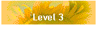 Level 3