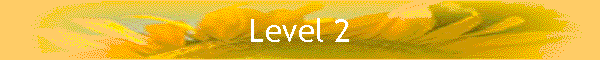 Level 2
